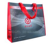 覆膜式環(huán)保袋 