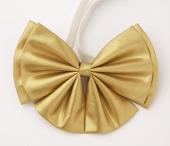 短帶結(jié)領花