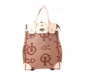 藝術圖文拉桿箱