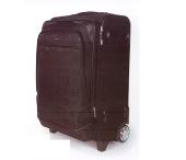 政務(wù)拉桿箱