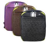 彩色雙背電腦包