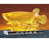 招財(cái)金龍魚(yú)