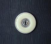 校慶紀(jì)念章