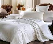 雅致風(fēng)情蠶絲被